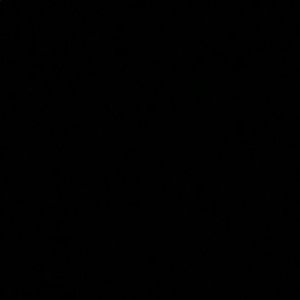 Meet your Posher, Michaela